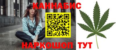 мдпв Гагарин