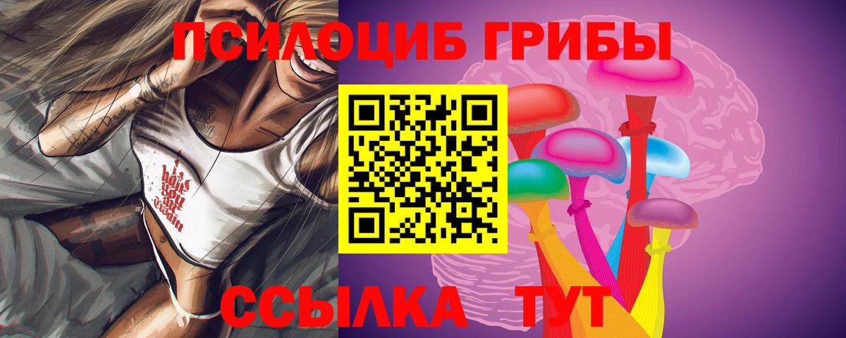 Псилоцибиновые грибы Psilocybine cubensis  Вход с VPN  Наро-Фоминск  Галлюциногенные грибы MAGIC MUSHROOMS 